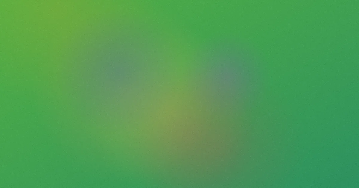 瑞奇宝宝是什么？一篇看懂